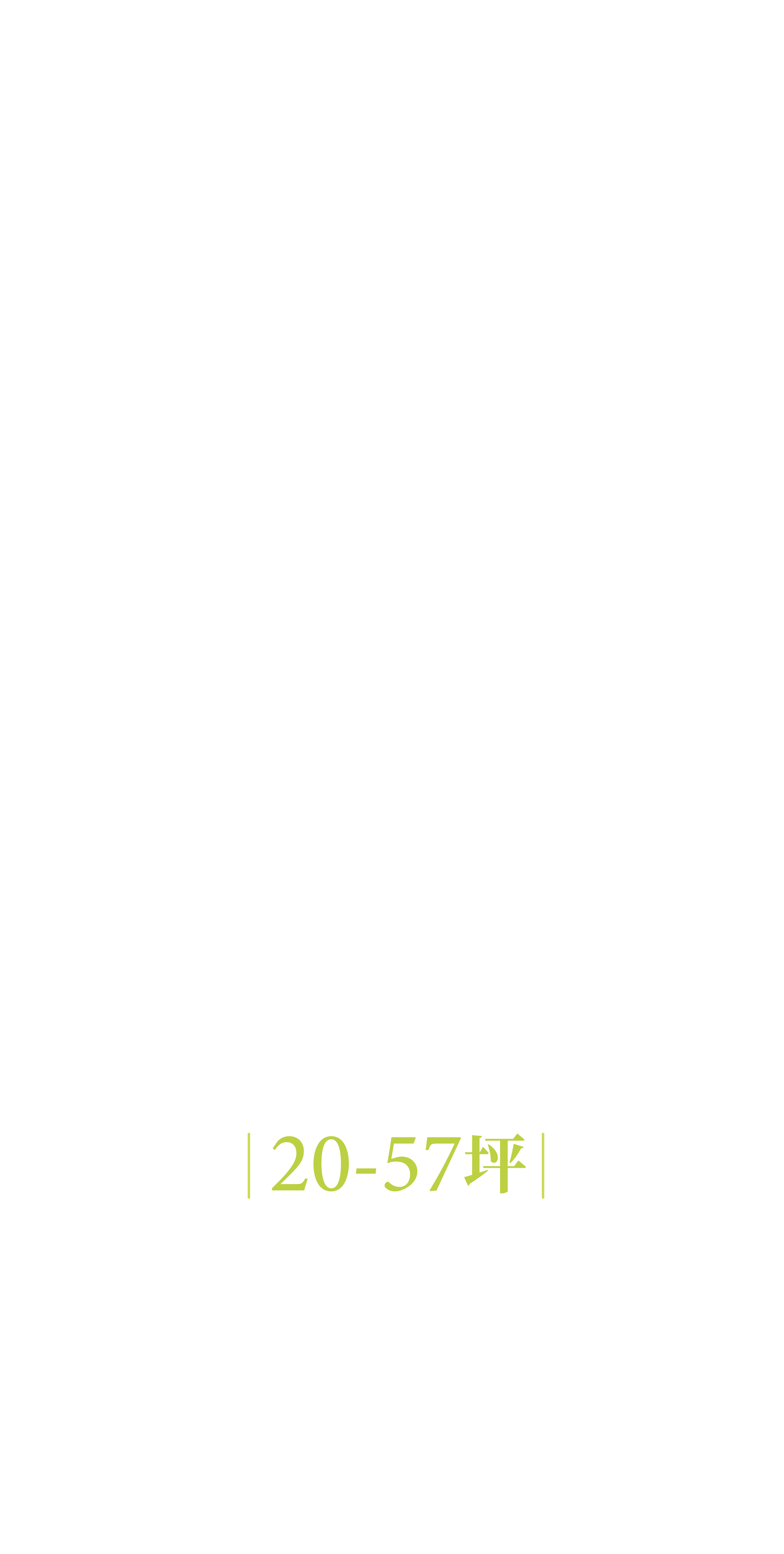 20-57坪 25層鋼骨地標